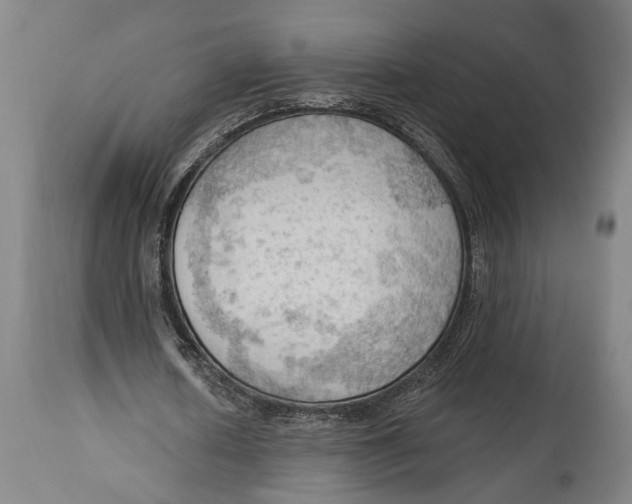 X0000114630626200911101237