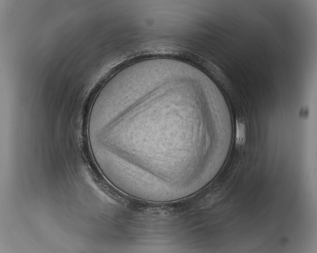 X0000114630627200911101237