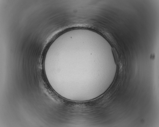 X0000114630628200911101237