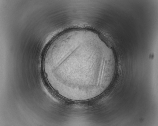 X0000114630630200911101237