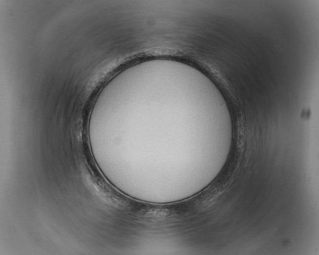 X0000114630631200911101237