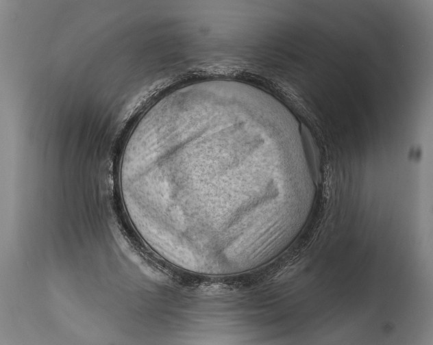 X0000114630634200911101237