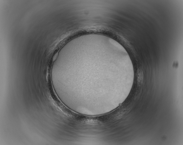 X0000114630637200911101237