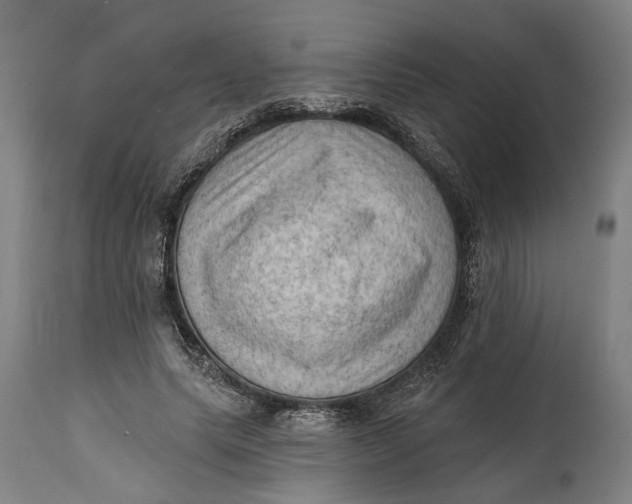 X0000114630639200911101237