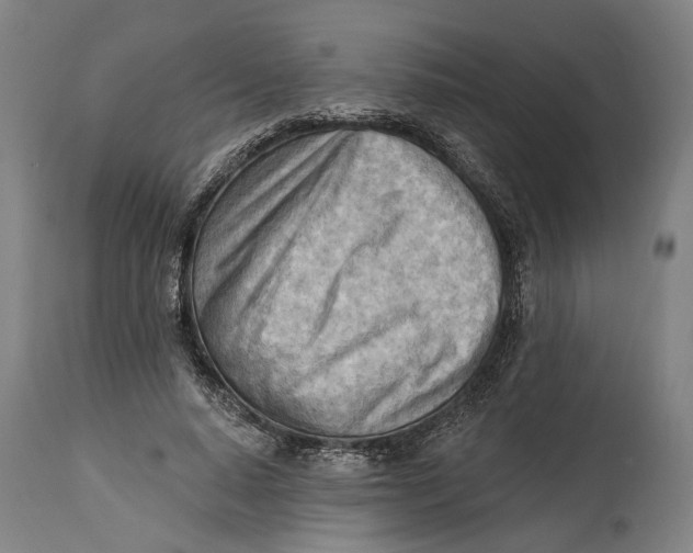 X0000114630640200911101237