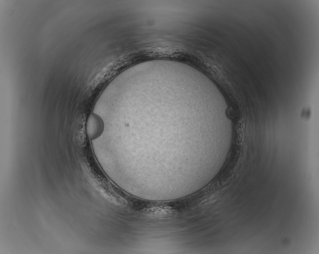 X0000114630642200911101237