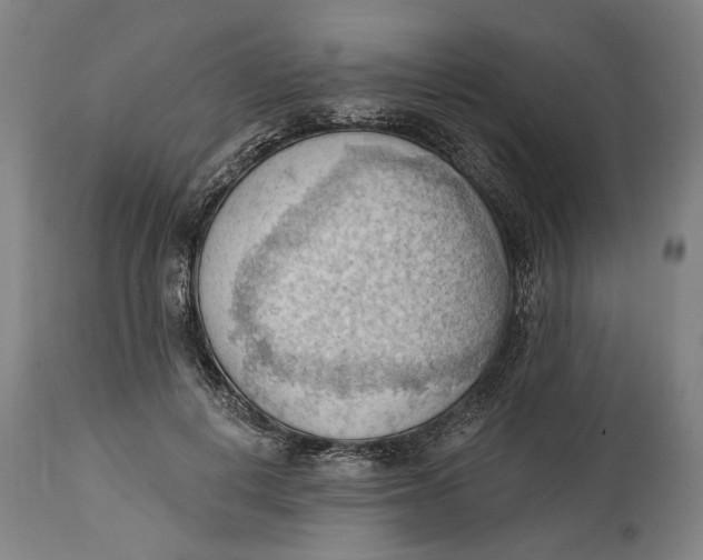 X0000114630648200911101237