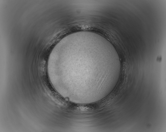 X0000114630650200911101237