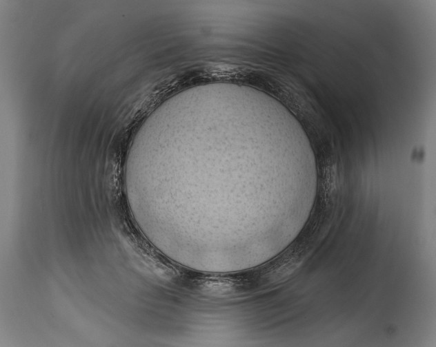 X0000114630653200911101237