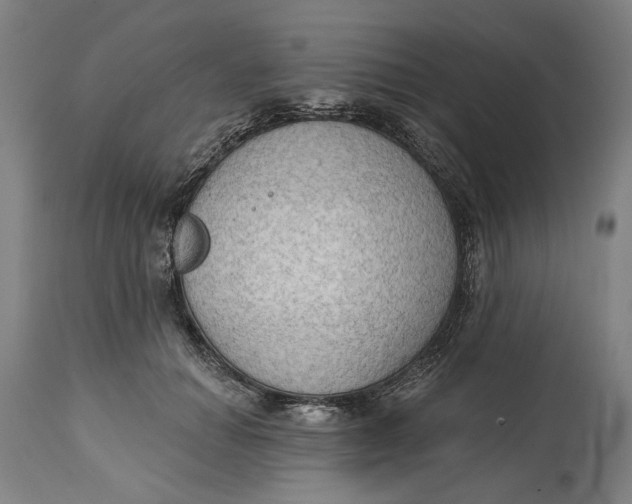 X0000114630654200911101237