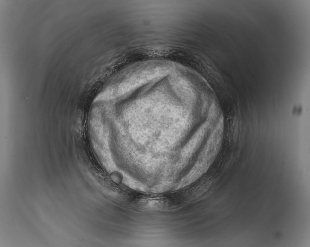 X0000114630655200911101237