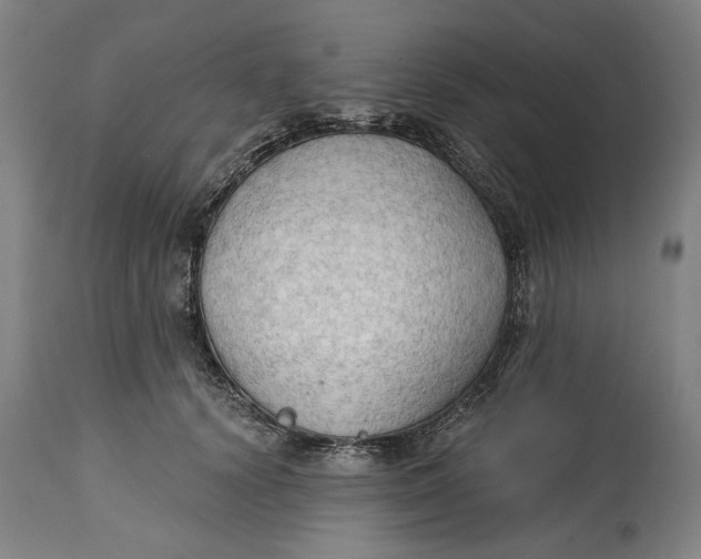 X0000114630656200911101237