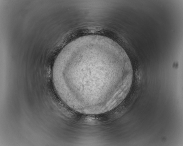 X0000114630657200911101237