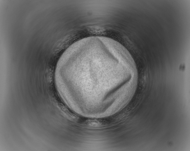 X0000114630658200911101237