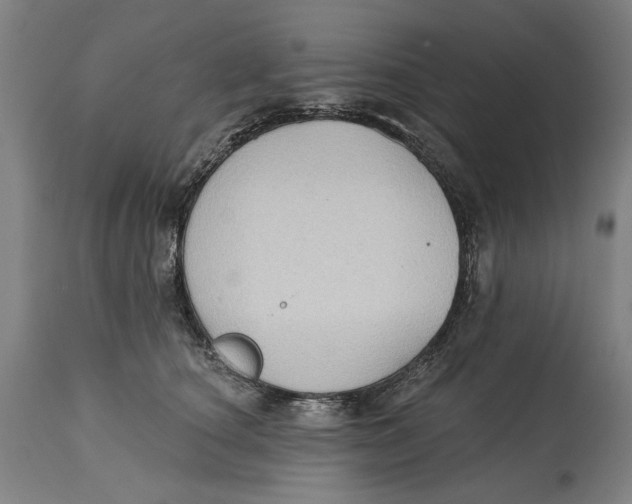 X0000114630660200911101237