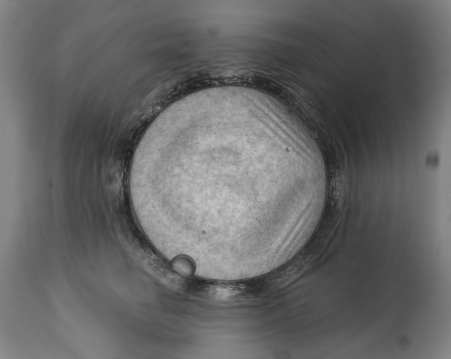 X0000114630662200911101237