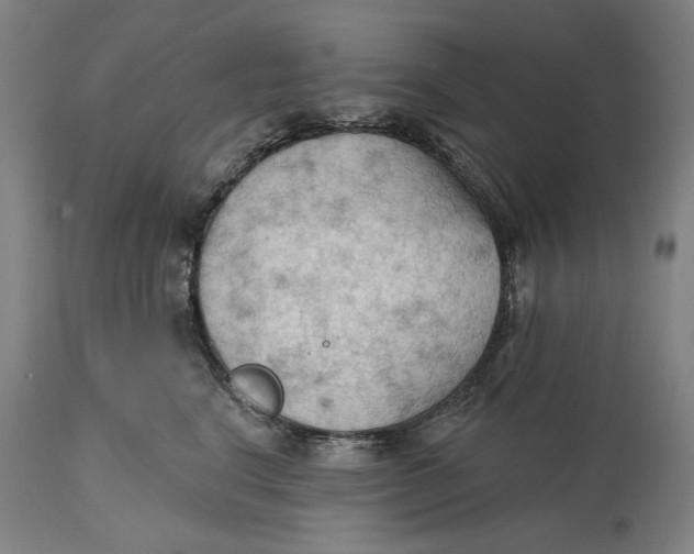 X0000114630664200911101238