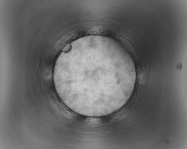 X0000114630665200911101238