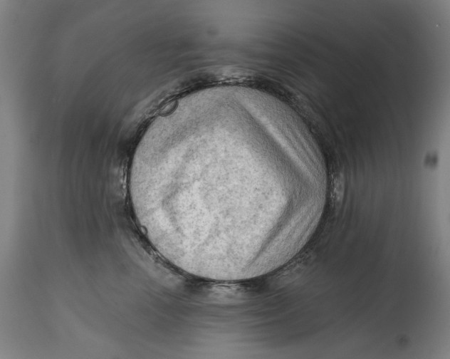 X0000114630666200911101238