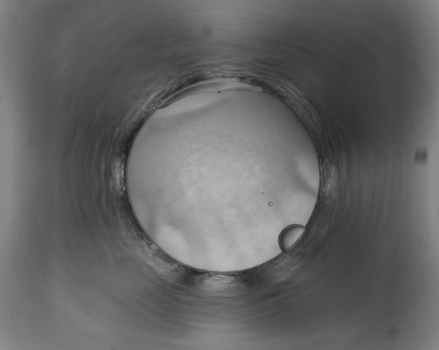 X0000114630669200911101238