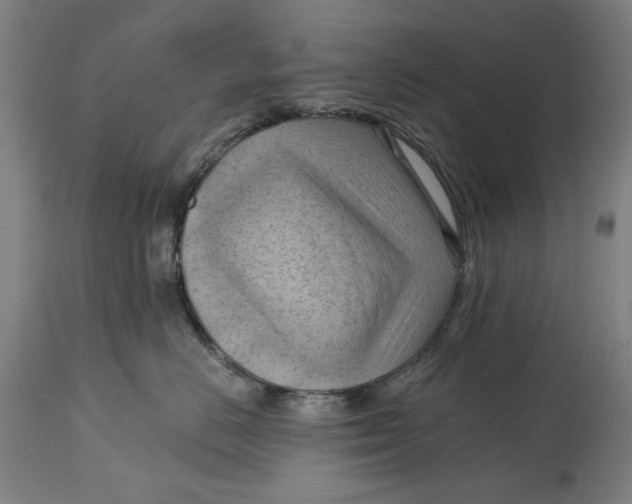 X0000114630670200911101238