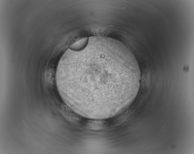 X0000114630671200911101238