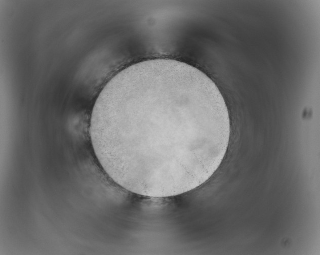 X0000114630672200911101238