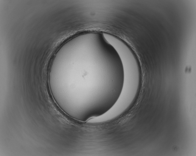 X0000114630673200911101237