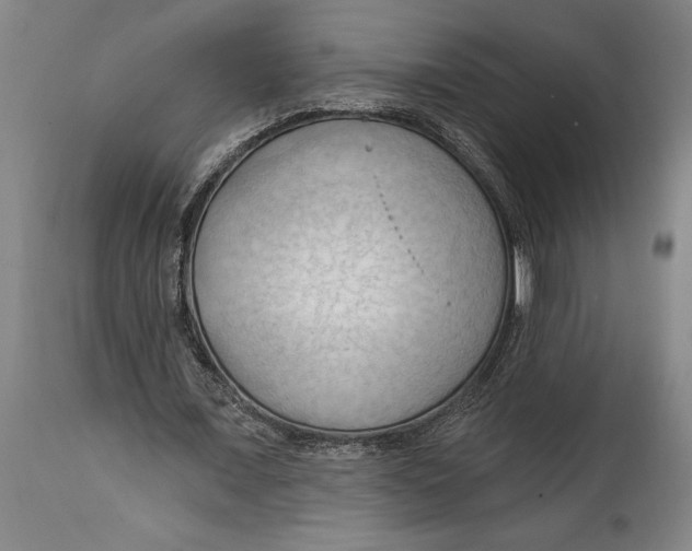 X0000114630675200911101237