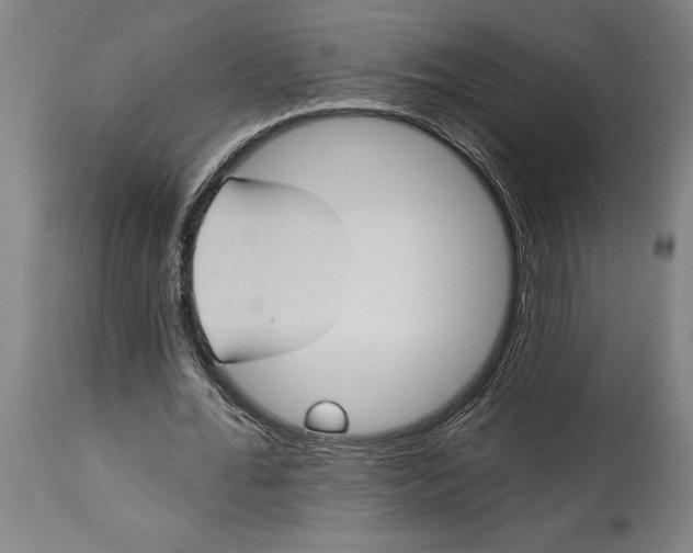 X0000114630676200911101237