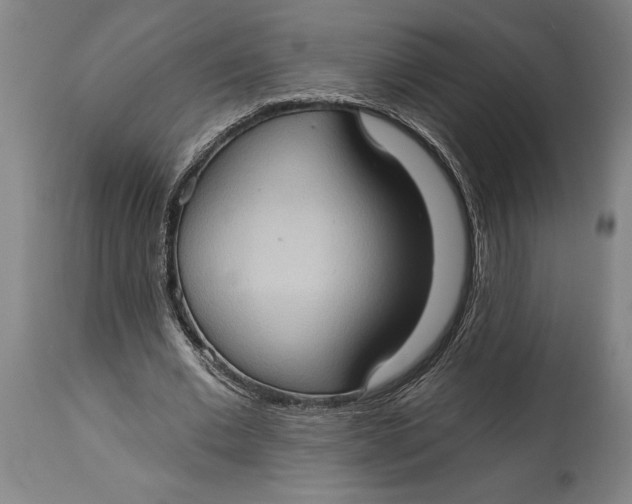 X0000114630677200911101237