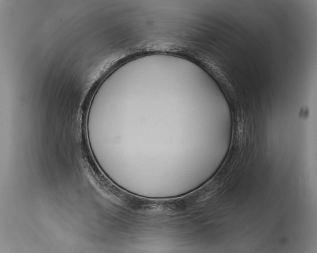 X0000114630678200911101237