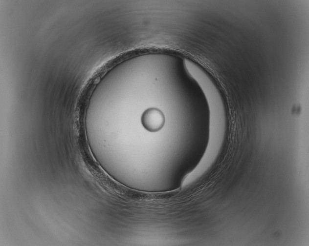 X0000114630680200911101237