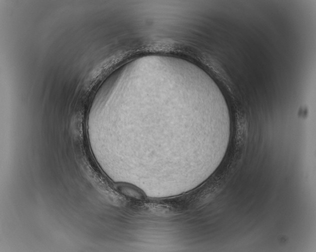 X0000114630681200911101237