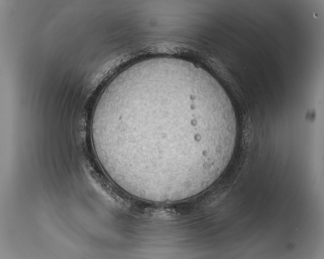 X0000114630683200911101237