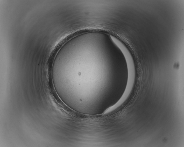 X0000114630684200911101237