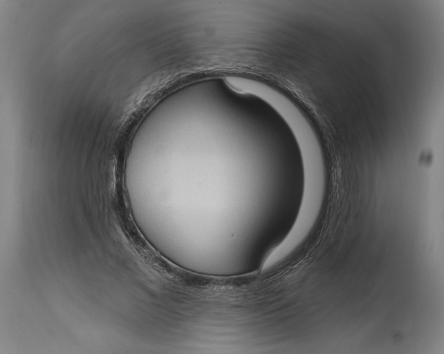 X0000114630685200911101237