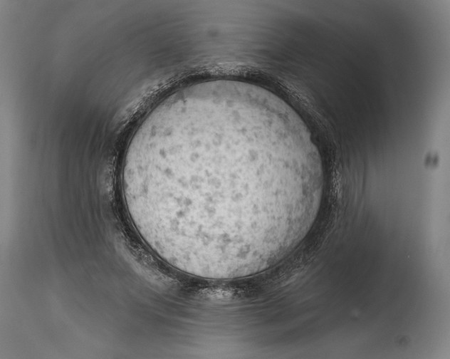 X0000114630687200911101237