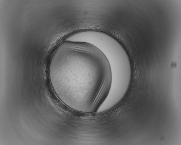 X0000114630688200911101237