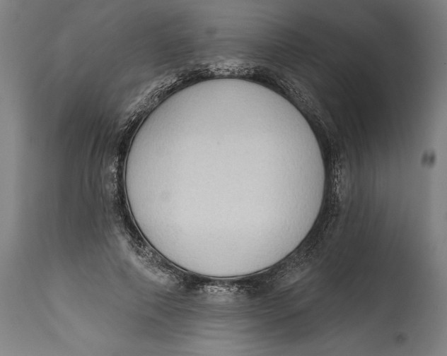 X0000114630690200911101237