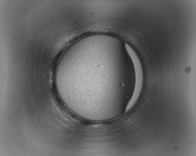 X0000114630692200911101237