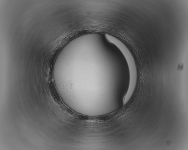 X0000114630693200911101237