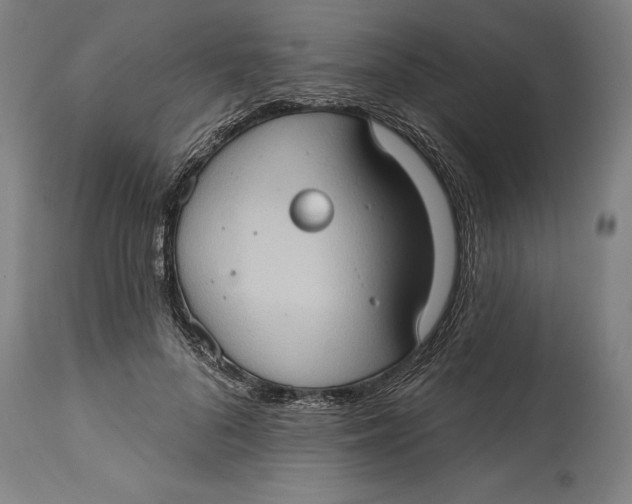 X0000114630696200911101236