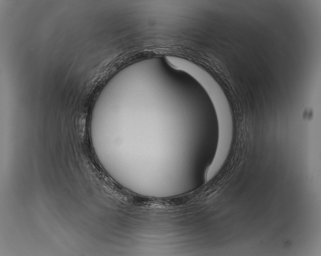 X0000114630697200911101236