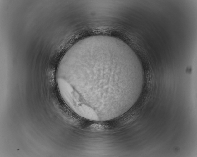 X0000114630699200911101236