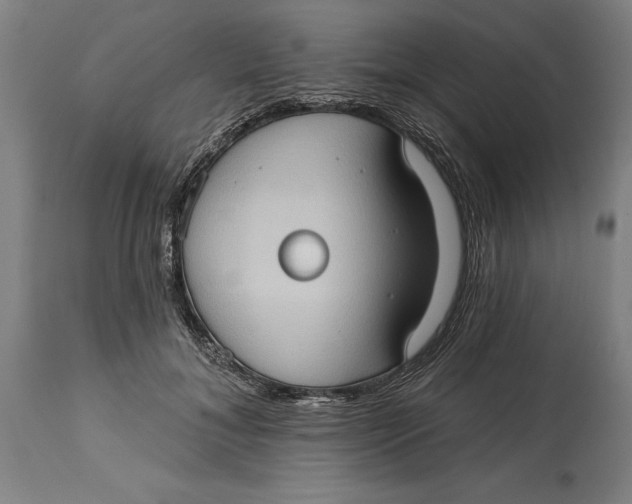 X0000114630700200911101236