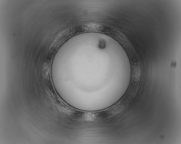 X0000114630701200911101236