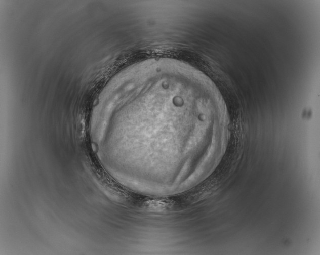 X0000114630703200911101236