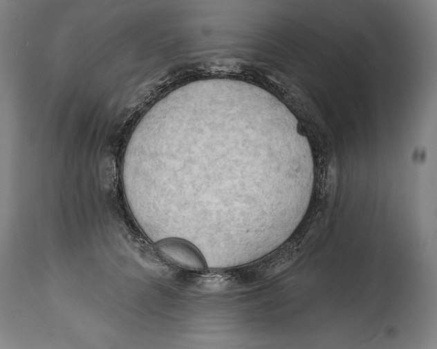 X0000114630704200911101236