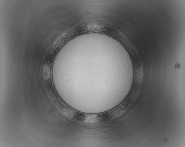 X0000114630705200911101236